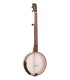 Gold Tone HM-25 11" Openback Banjo | Affordable Clawhammer