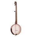 Gold Tone HM-25: High Moon Openback 11" Banjo and Case with Free Damper Mute