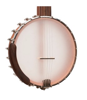 Gold Tone HM-25 11" Openback Banjo | Affordable Clawhammer