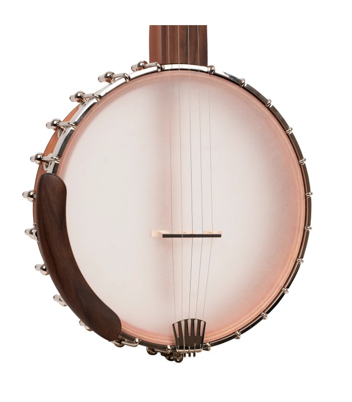 Gold Tone HM-25 11" Openback Banjo | Affordable Clawhammer