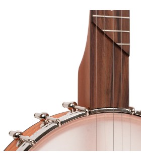 Gold Tone HM-25 11" Openback Banjo | Affordable Clawhammer