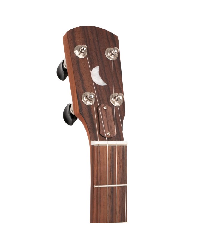 Gold Tone HM-25 11" Openback Banjo | Affordable Clawhammer