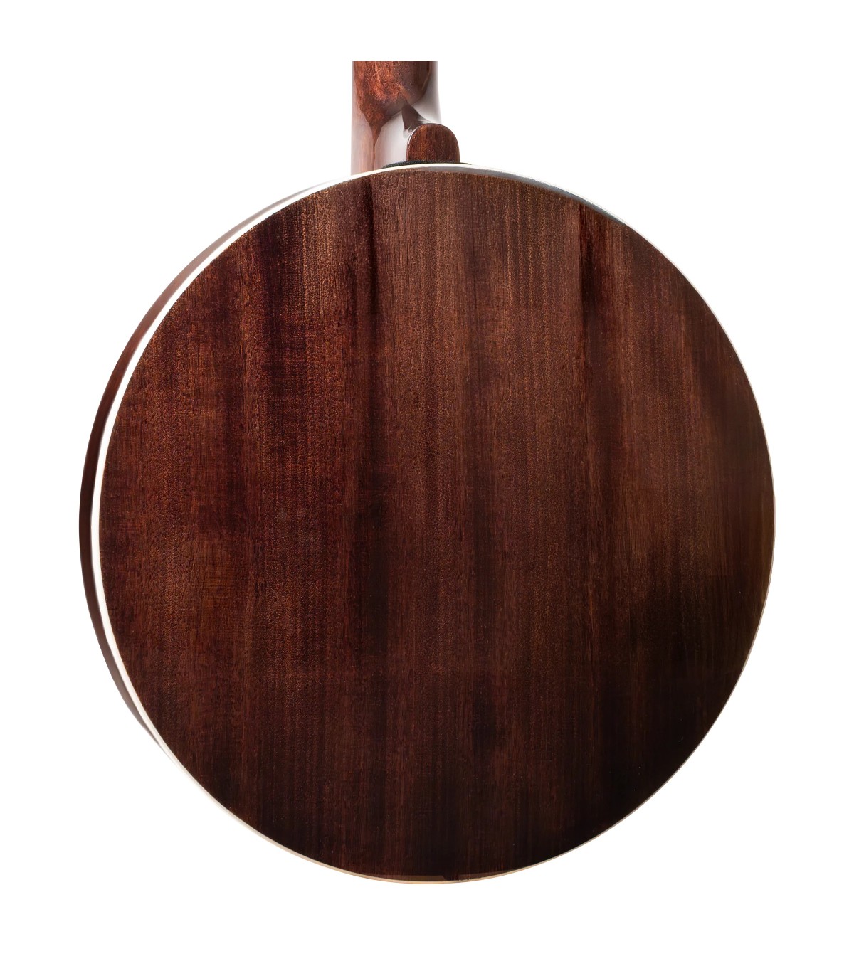 Gold Tone OB-175 | Flying Eagle | Lighter Weight Pro Banjo | Hard Case Discount