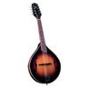 Mandolin - Saga - Kentucky Artist A-Model KM-350