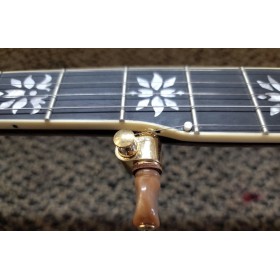 Gold Tone Carl Jackson Signature Banjo |  New Greg Rich Design