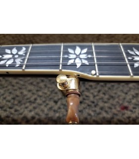Gold Tone Carl Jackson Signature Banjo |  New Greg Rich Design
