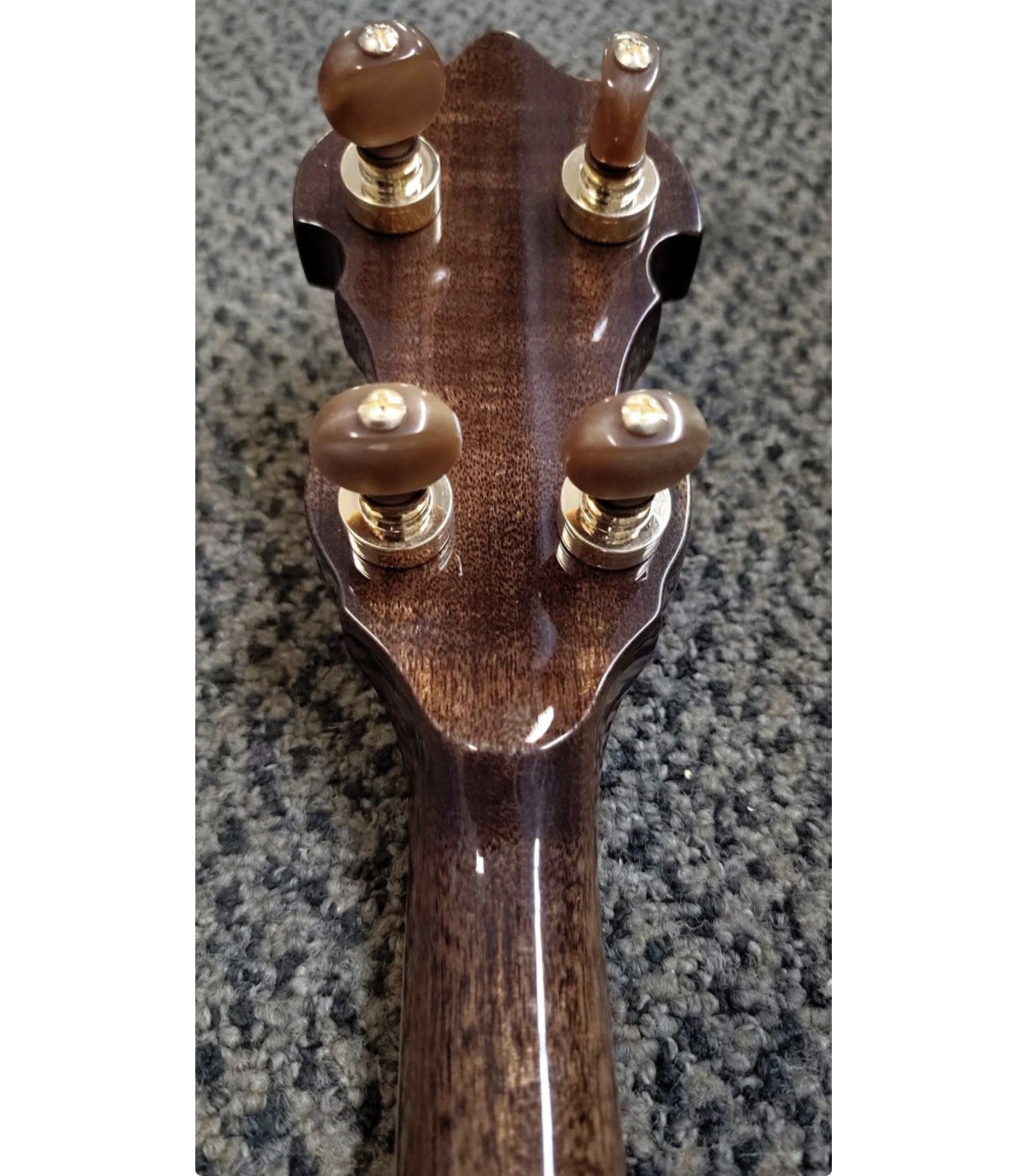 Gold Tone Carl Jackson Signature Banjo |  New Greg Rich Design