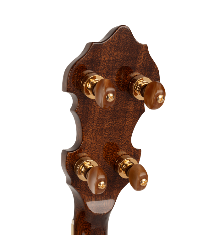 Gold Tone Carl Jackson Signature Banjo |  New Greg Rich Design