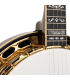 Gold Tone Carl Jackson Signature Banjo |  New Greg Rich Design