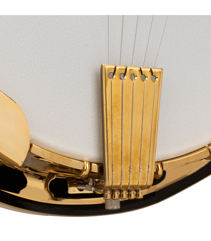 Gold Tone Carl Jackson Signature Banjo |  New Greg Rich Design