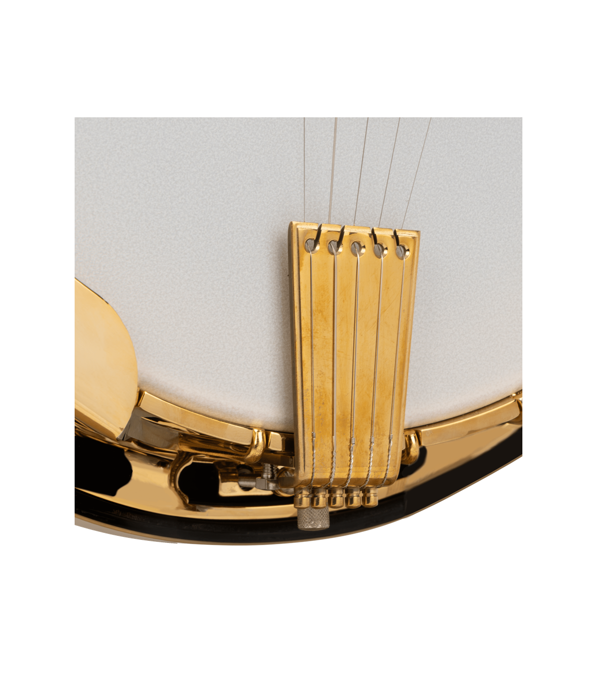 Gold Tone Carl Jackson Signature Banjo |  New Greg Rich Design
