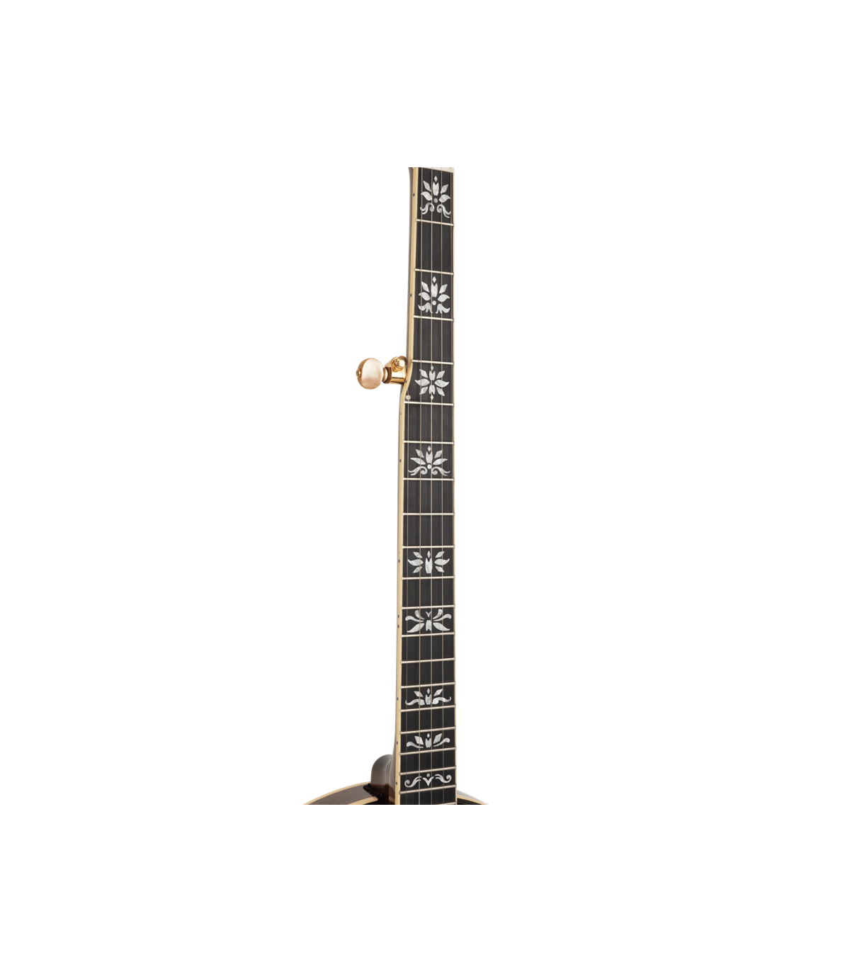 Gold Tone Carl Jackson Signature Banjo |  New Greg Rich Design
