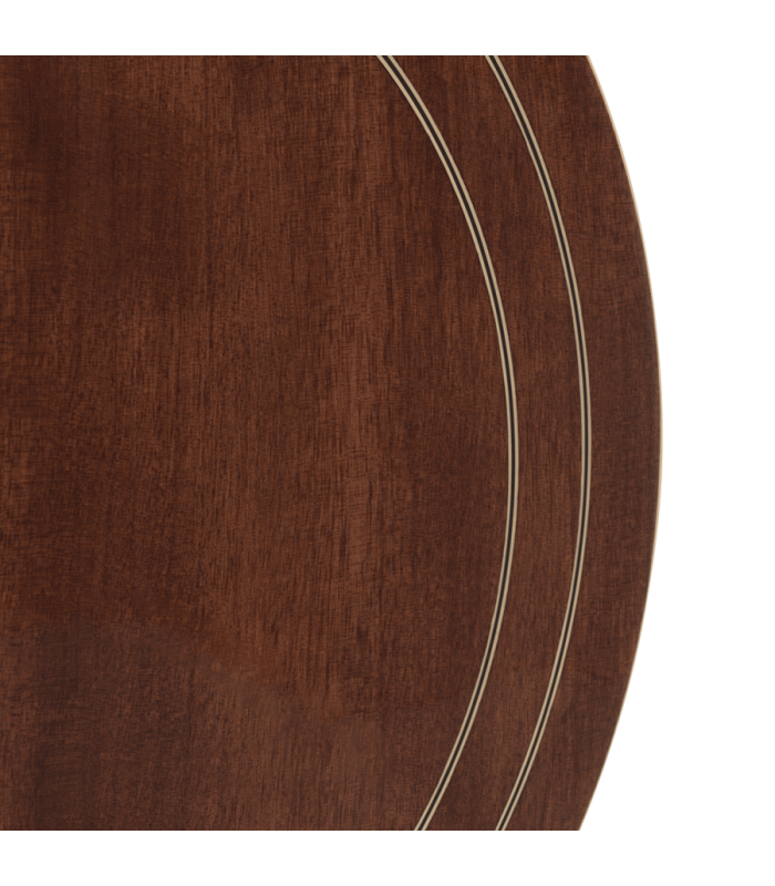Gold Tone Carl Jackson Signature Banjo |  New Greg Rich Design