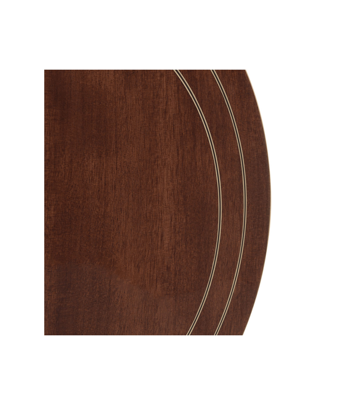 Gold Tone Carl Jackson Signature Banjo |  New Greg Rich Design