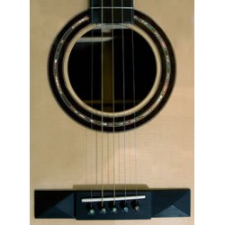 Doc Fossey Guitar for the 5-String Banjo Player - Includes free shipping and hard shell case