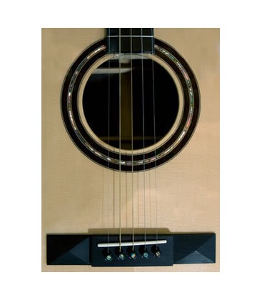 Doc Fossey Guitar for the 5-String Banjo Player - Includes free shipping and hard shell case