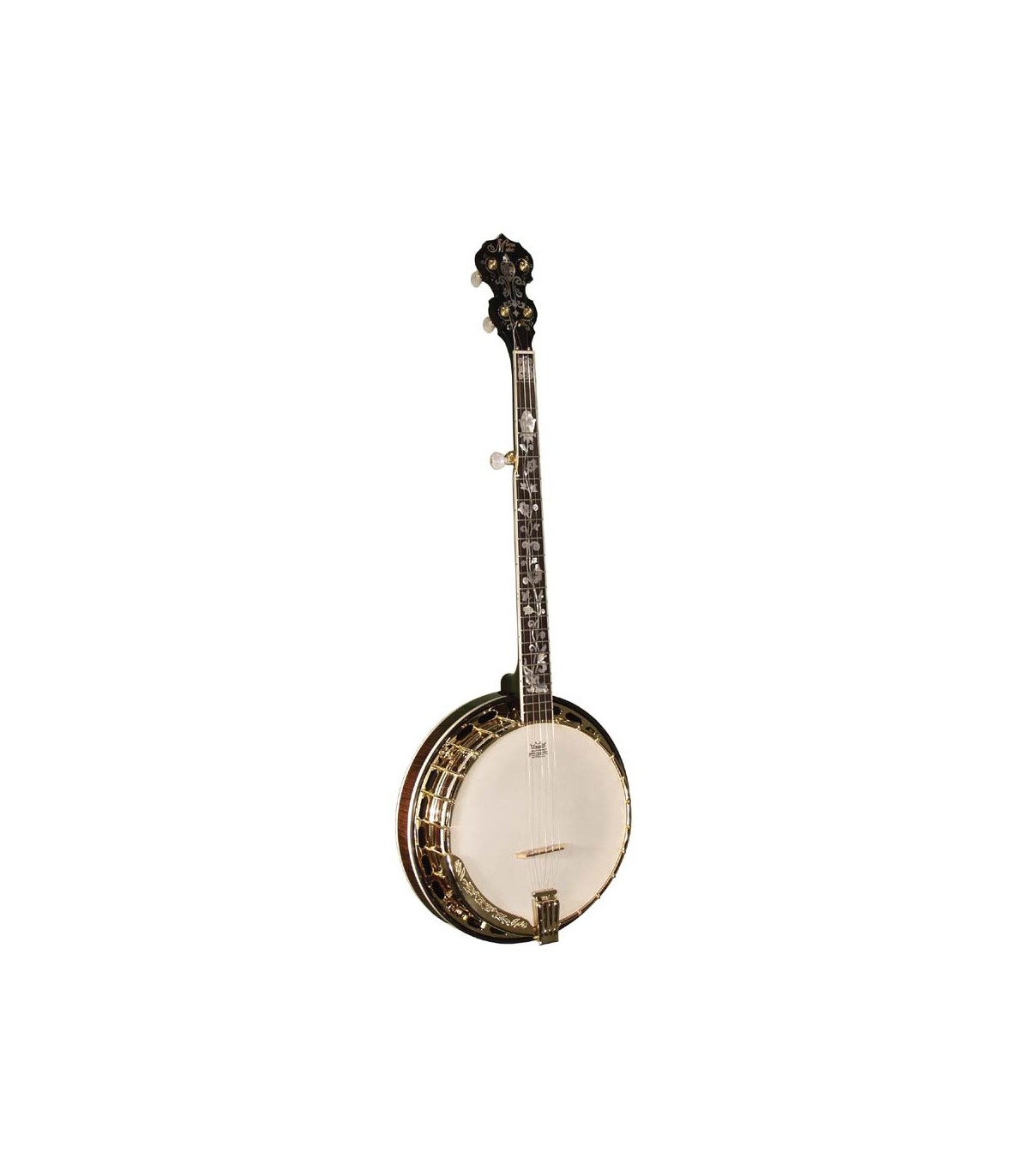 Morgan Monroe Appalachia / Foggy Mountain Banjo