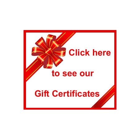 Gift Certificate to BanjoTeacher.com for $300.00