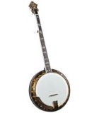 Flint HIll Archtop Banjos