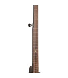 Fretless Banjos