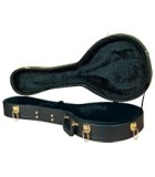 Mandolin Cases