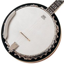 banjo for sale