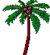 palm tree