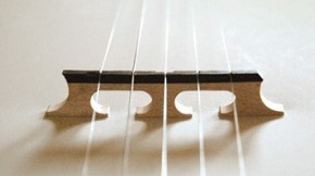 Reset the Bridge on a Five String Banjo