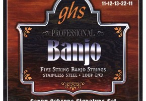 How to Put Strings on a Banjo